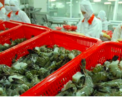 Việt Nam là nước xuất khẩu tôm lớn thứ hai thế giới
